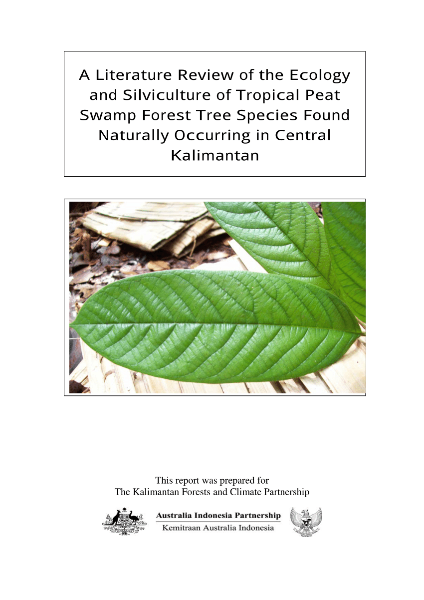 Pdf A Literature Review Of The Ecology And Silviculture Of Tropical Peat Swamp Forest Tree