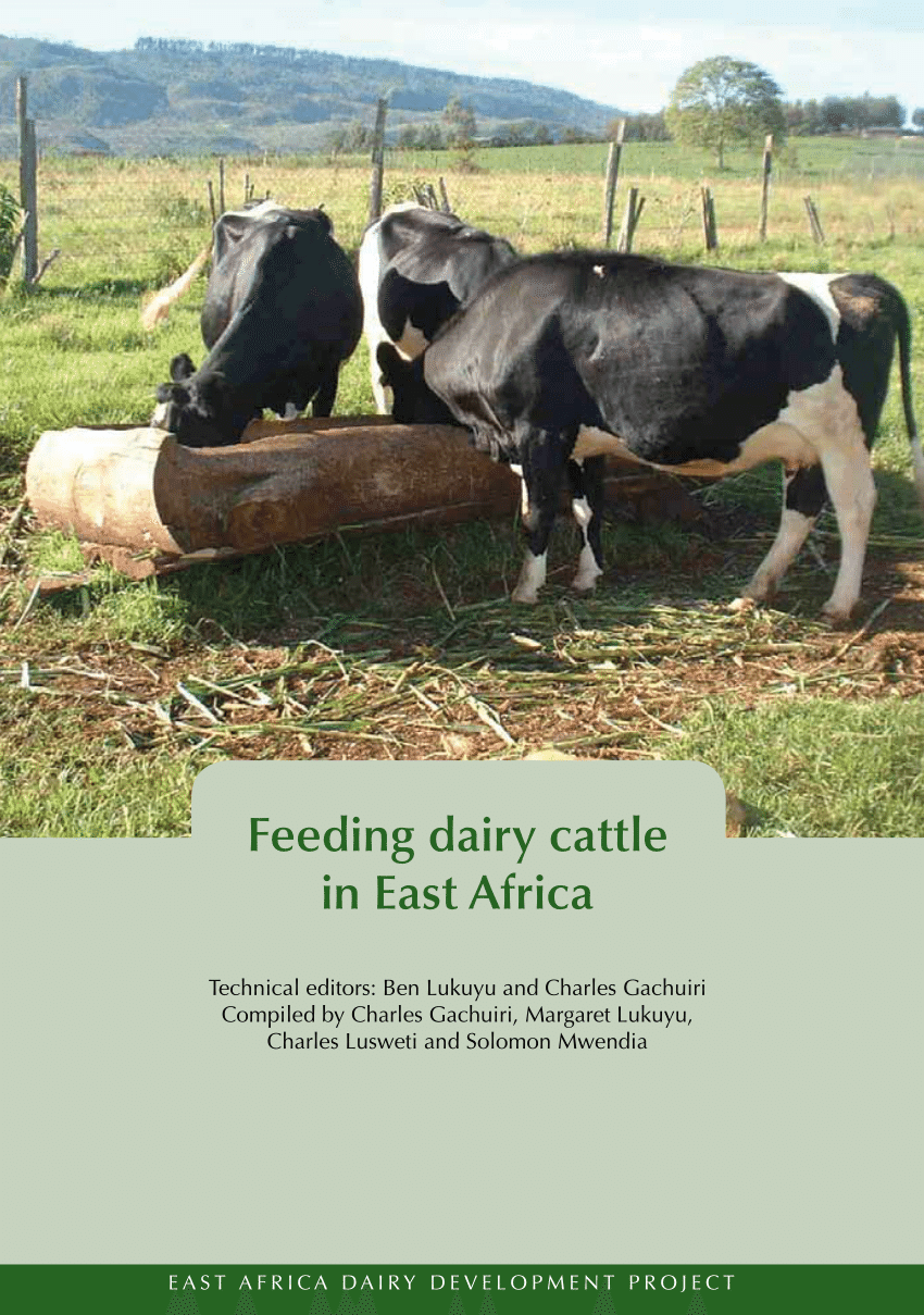 (PDF) Feeding dairy cattle in East Africa title