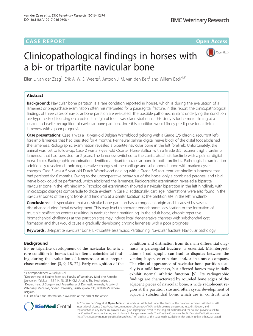 Pdf Clinicopathological Findings In Horses With A Bi Or Tripartite Navicular Bone