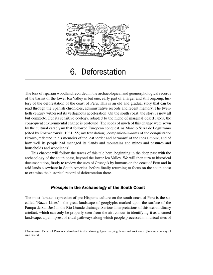 deforestation bachelor thesis