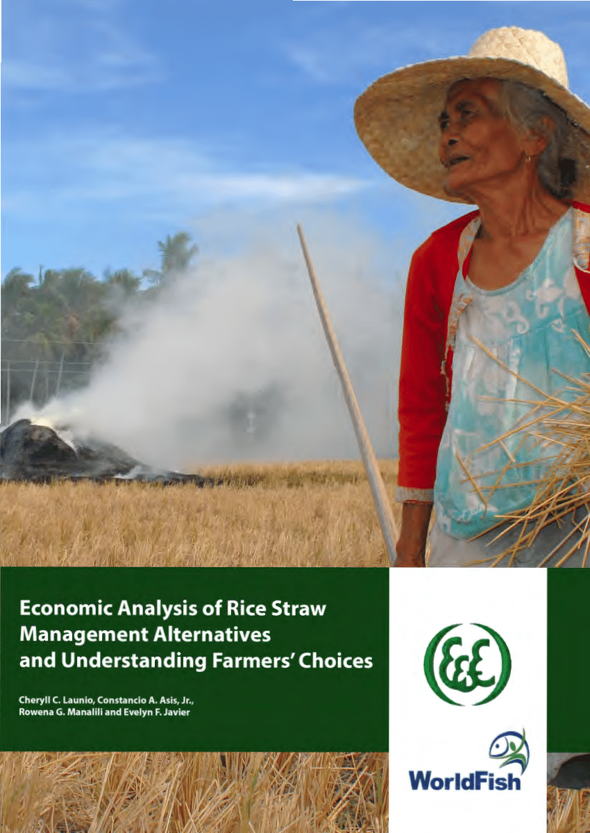 rice straw research paper