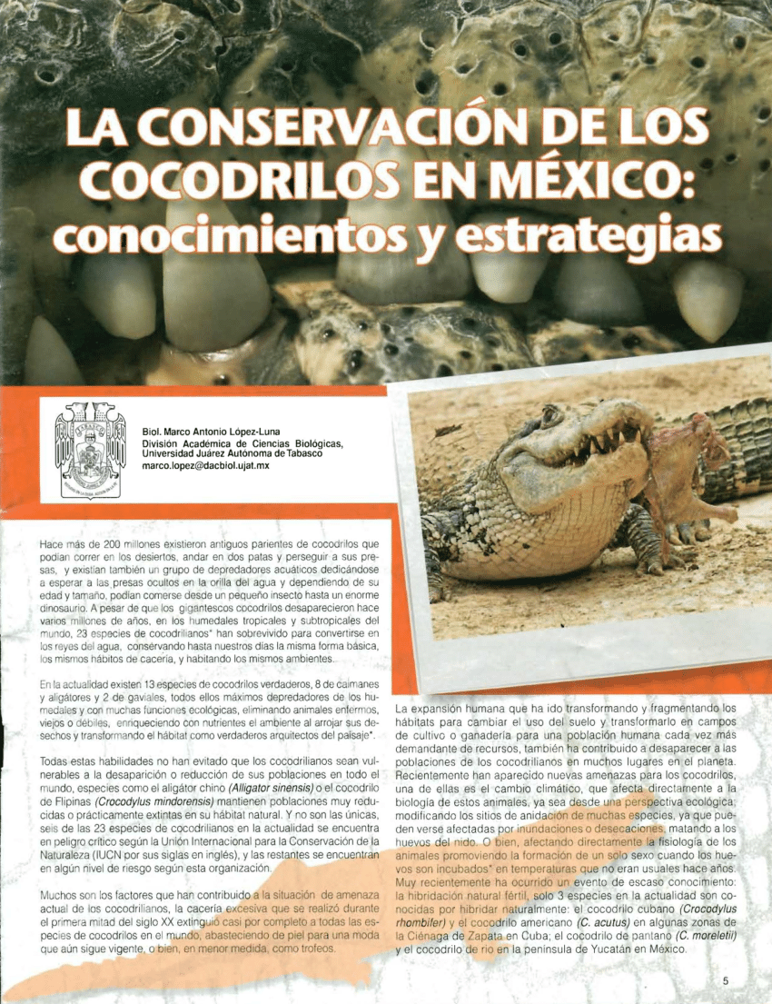 PDF) La conservación de los cocodrilos en México: Conocimientos y  Estrategias