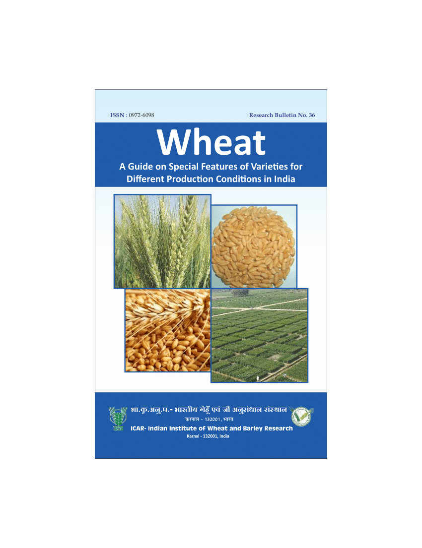 wheat research paper 2020