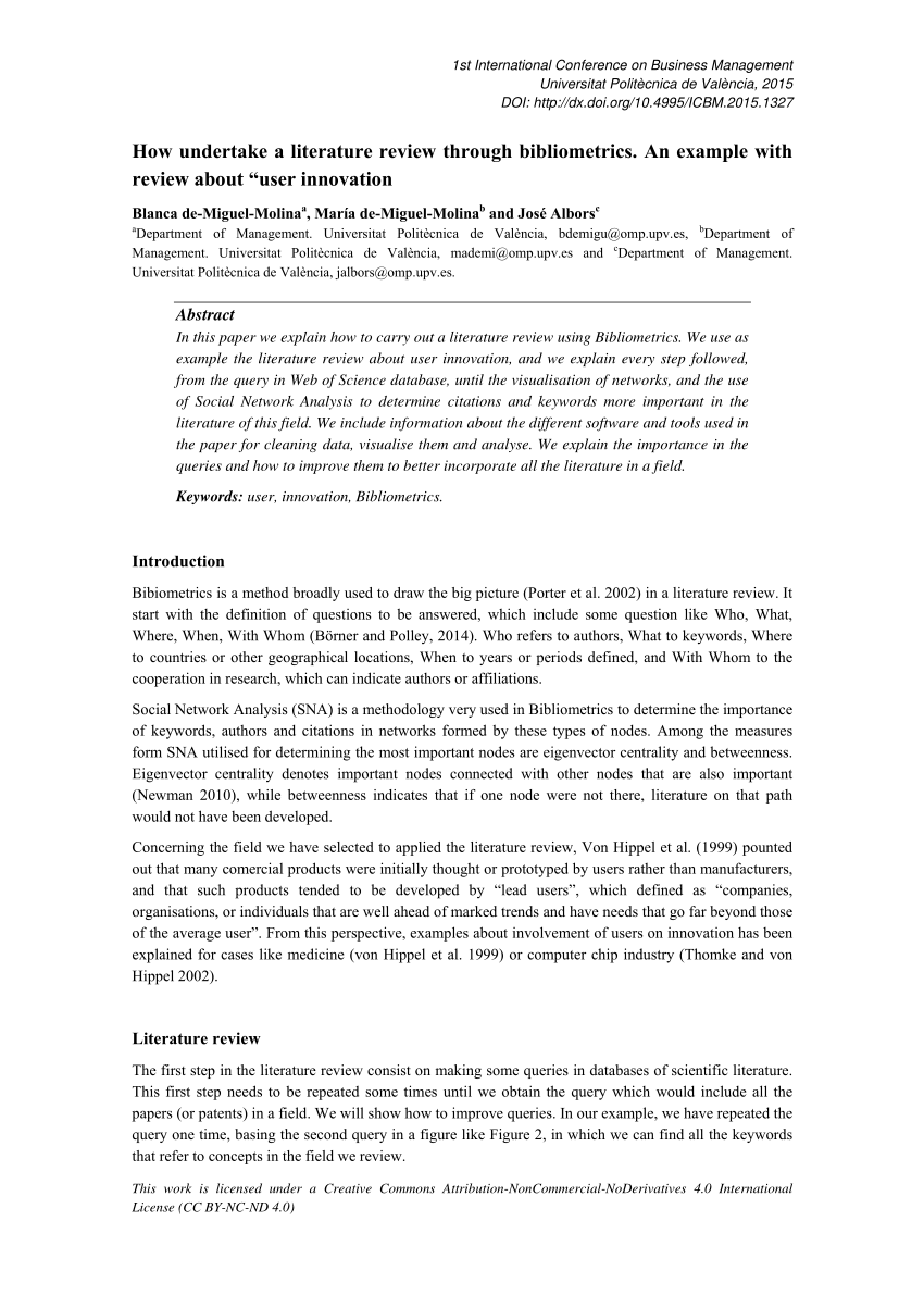 literature review summary pdf