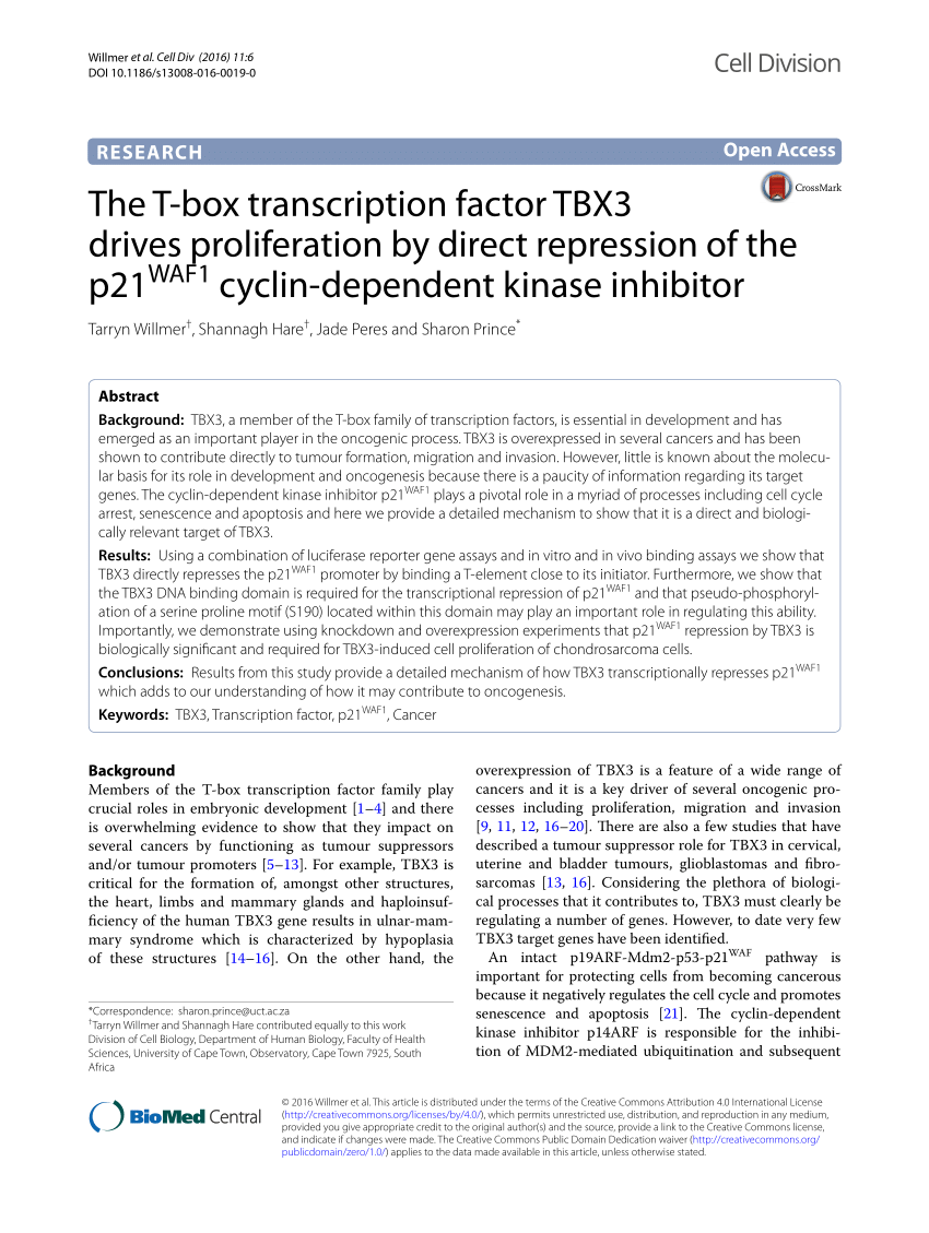 The T-box transcription factor TBX3 