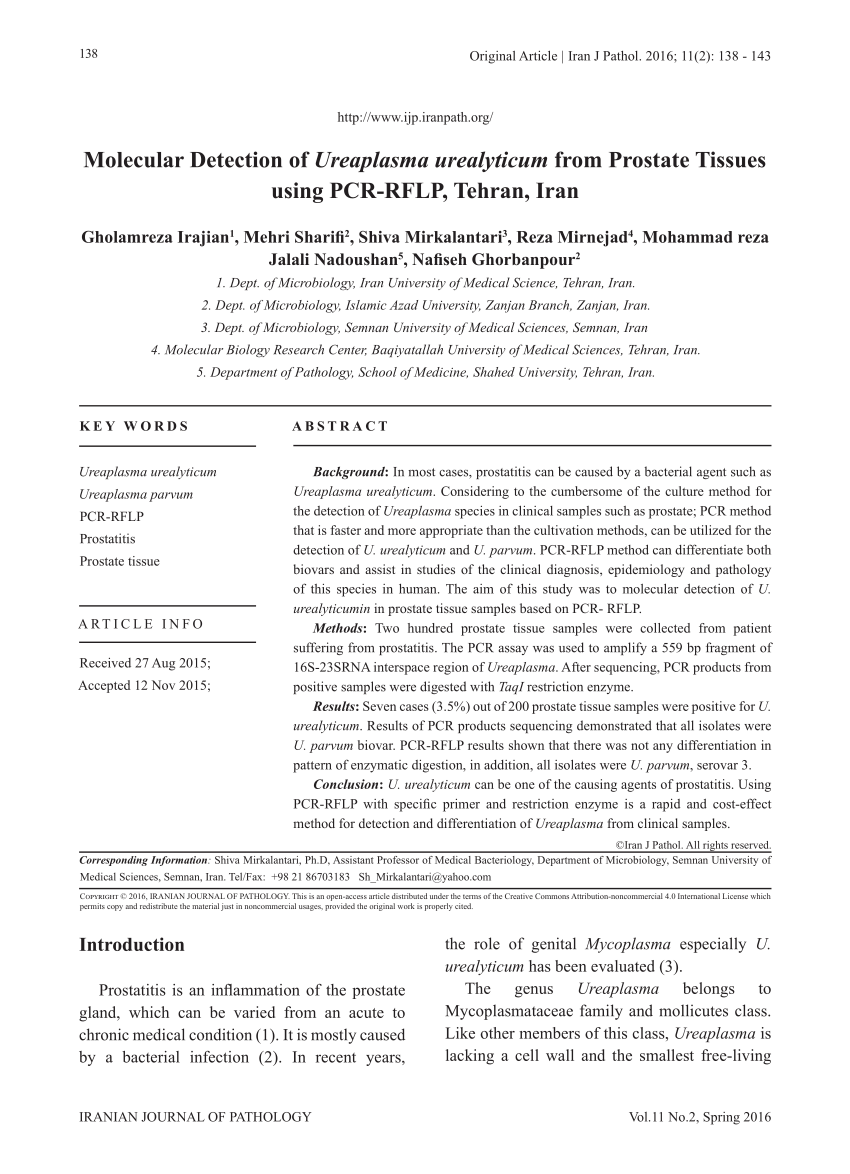 [PDF] Mycoplasma és ureaplasma fertôzések | Semantic Scholar