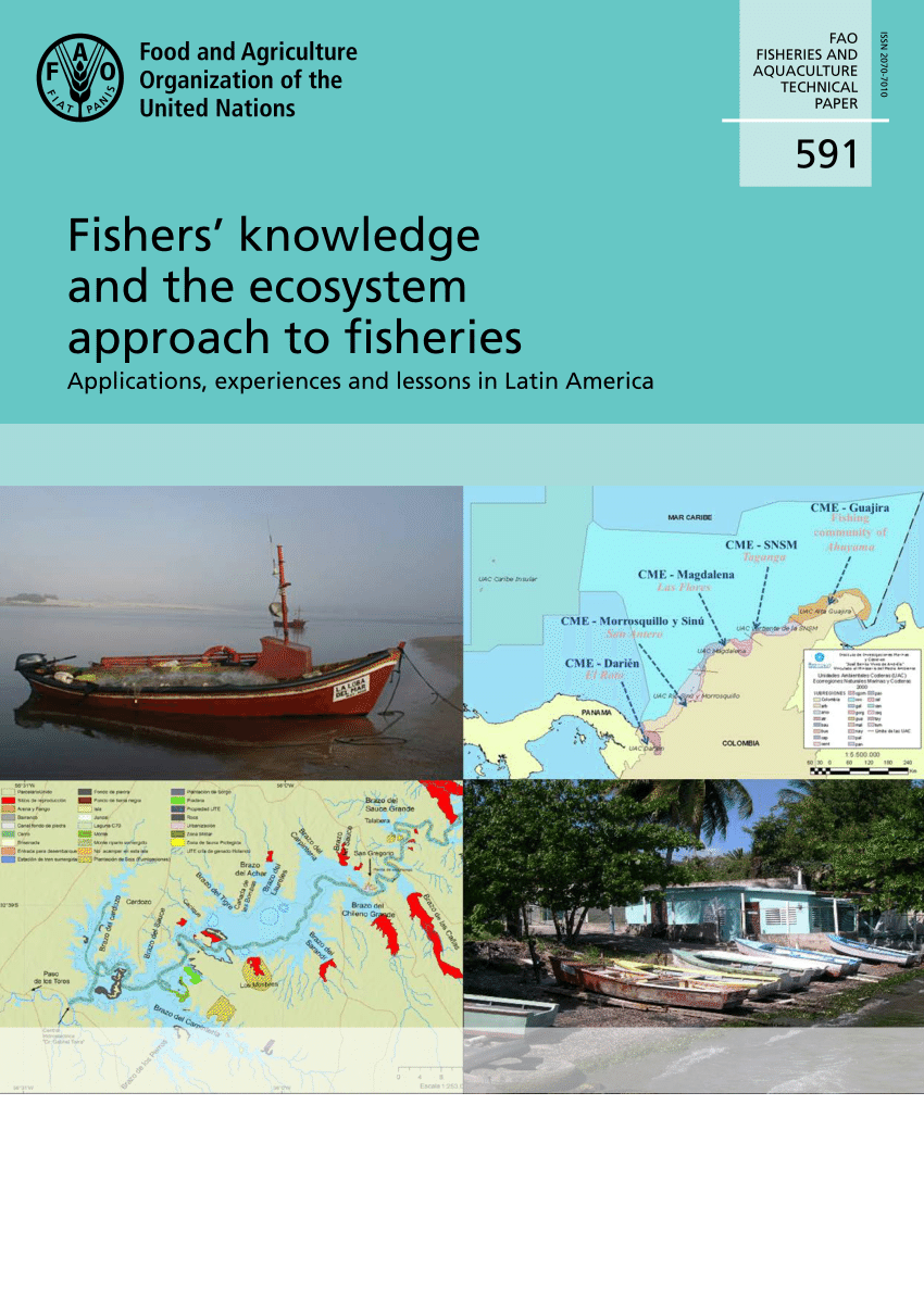Pdf Diversity Of Small Scale Fisheries And Fishery Agreements From The Participatory Management Perspective In Colombia