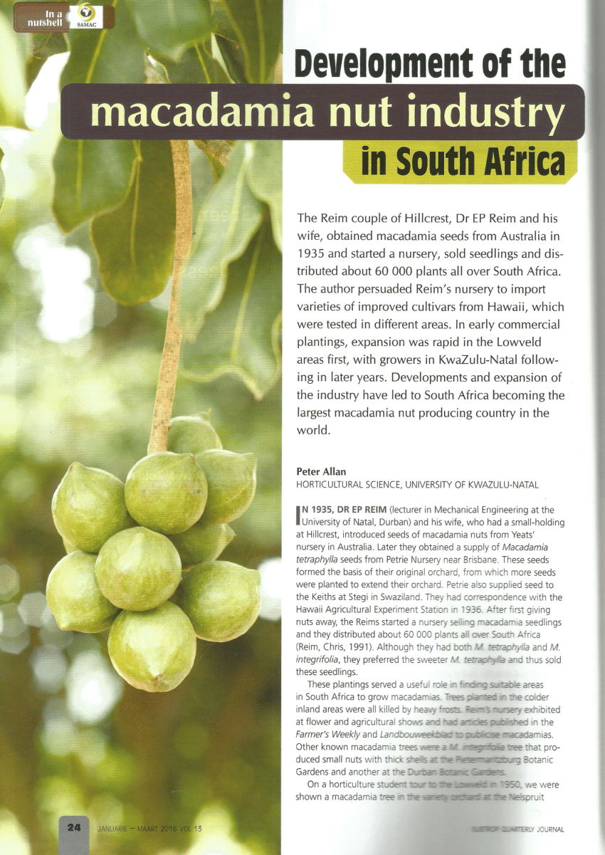 Macadamia Nuts South Africa