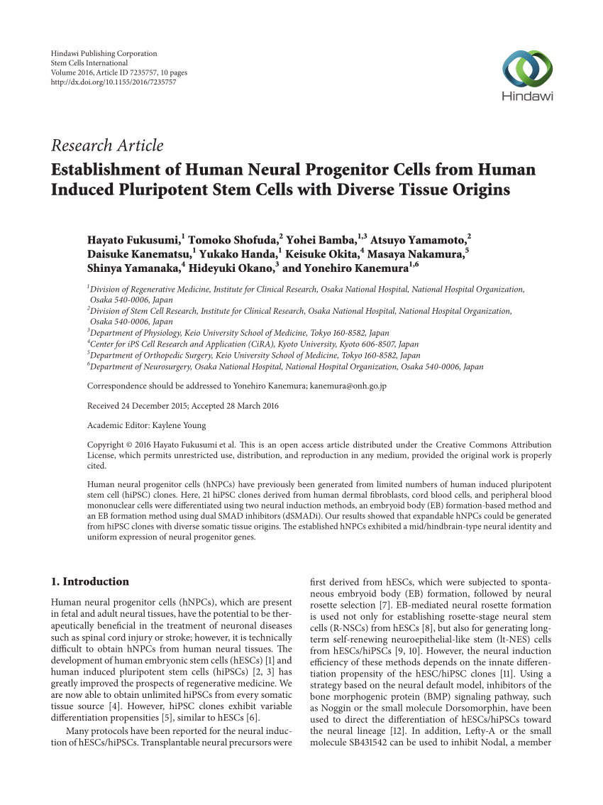 Pdf Establishment Of Human Neural Progenitor Cells From Human Induced Pluripotent Stem Cells With Diverse Tissue Origins