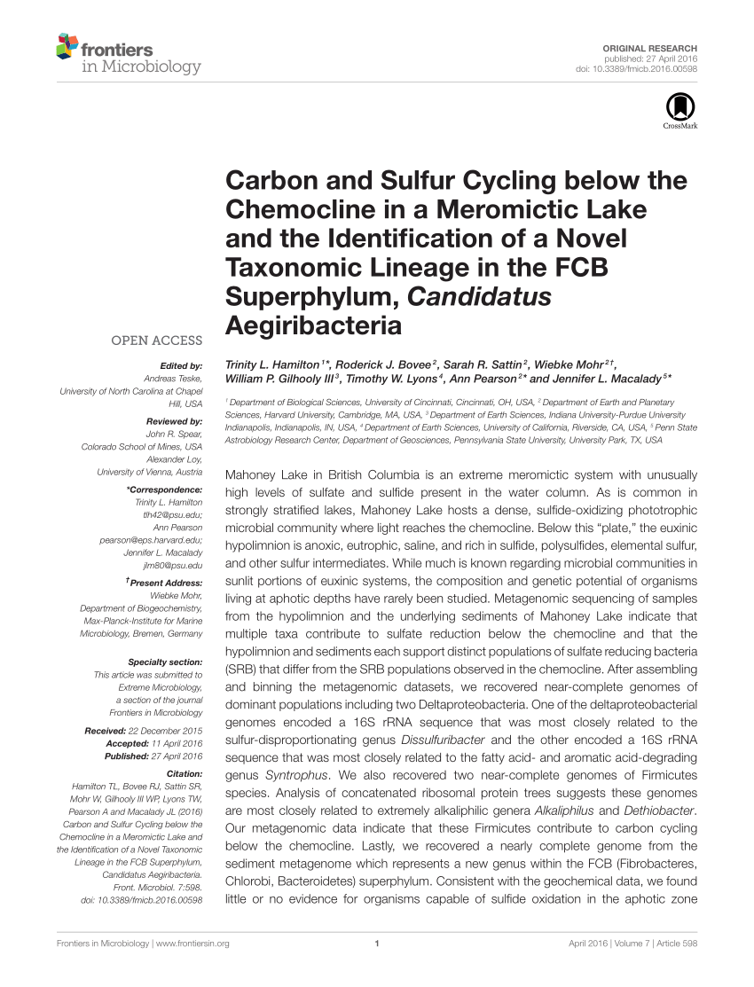 PDF) Carbon and Sulfur Cycling below the Chemocline in a ...