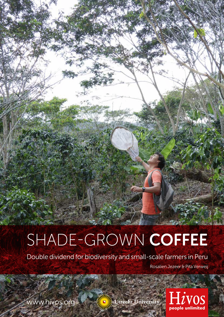 Pdf Shade Grown Coffee Double Dividend For Biodiversity And Small Scale Farmers In Peru