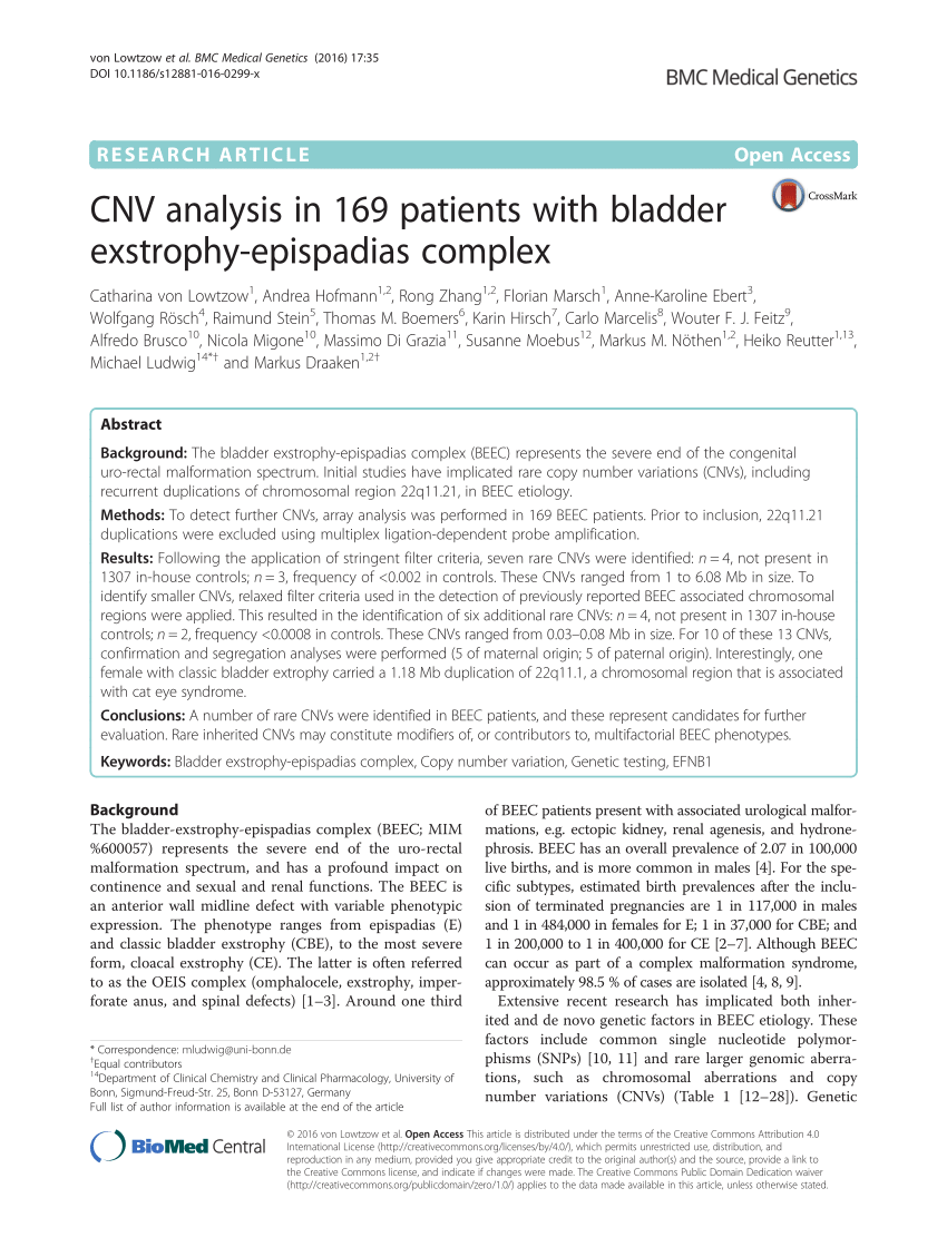 Pdf Cnv Analysis In 169 Patients With Bladder Exstrophy Epispadias Complex