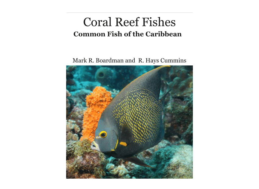 Brazilian Reef Fishes Book is the Most Comprehensive Reference to Date, Reef Builders