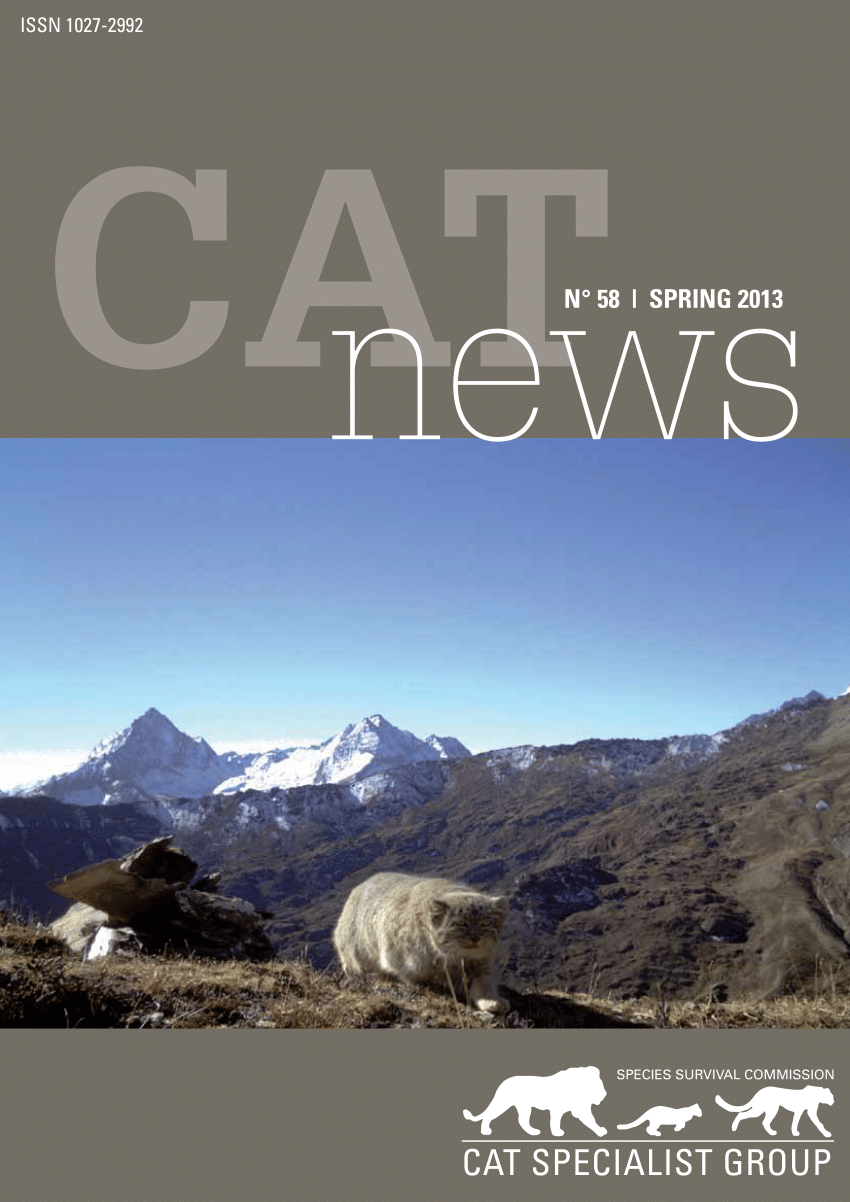 (PDF) Recent record of a flat-headed cat from a rural area ...