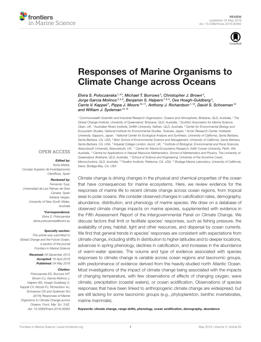 PDF Korallenriffe im Anthropozän