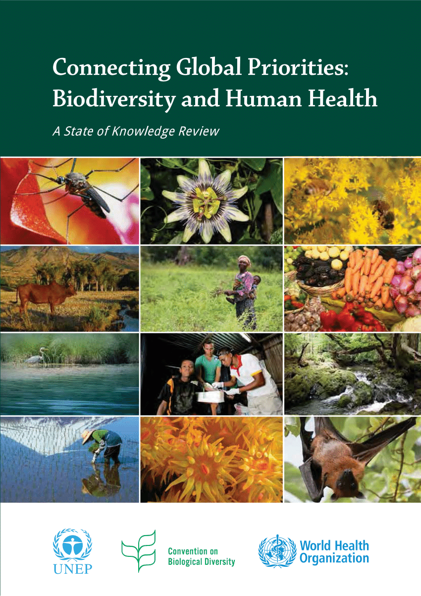 biodiversity research update