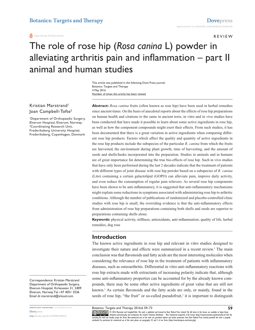 Pdf The Role Of Rose Hip Rosa Canina L Powder In