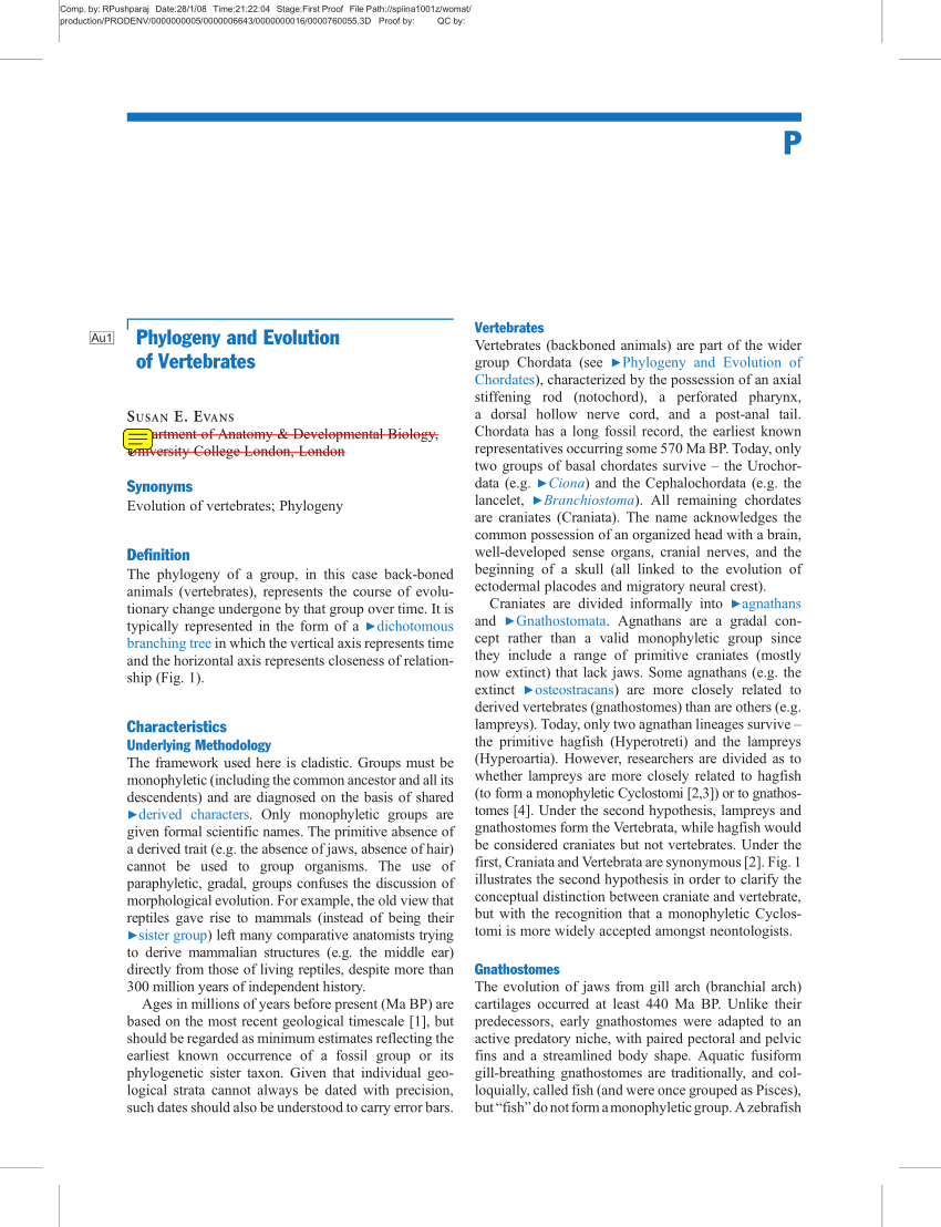 (PDF) Evolution and Phylogeny of Vertebrates