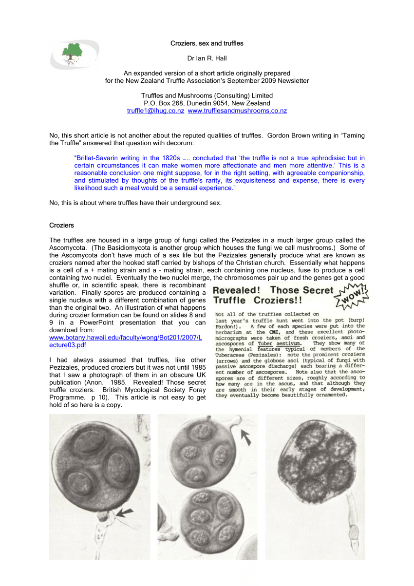 Pdf Sex Croziers Truffles And Variation 