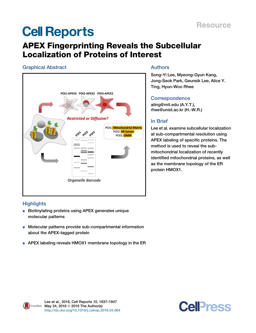Pdf Apex Fingerprinting Reveals The Subcellular Localization Of Proteins Of Interest