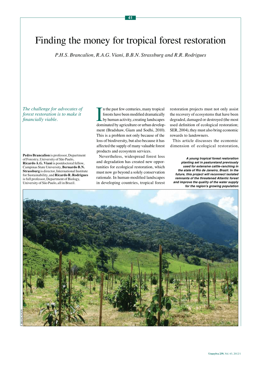 PDF) Intention of preserving forest remnants among landowners in the  Atlantic Forest: The role of the ecological context via ecosystem services