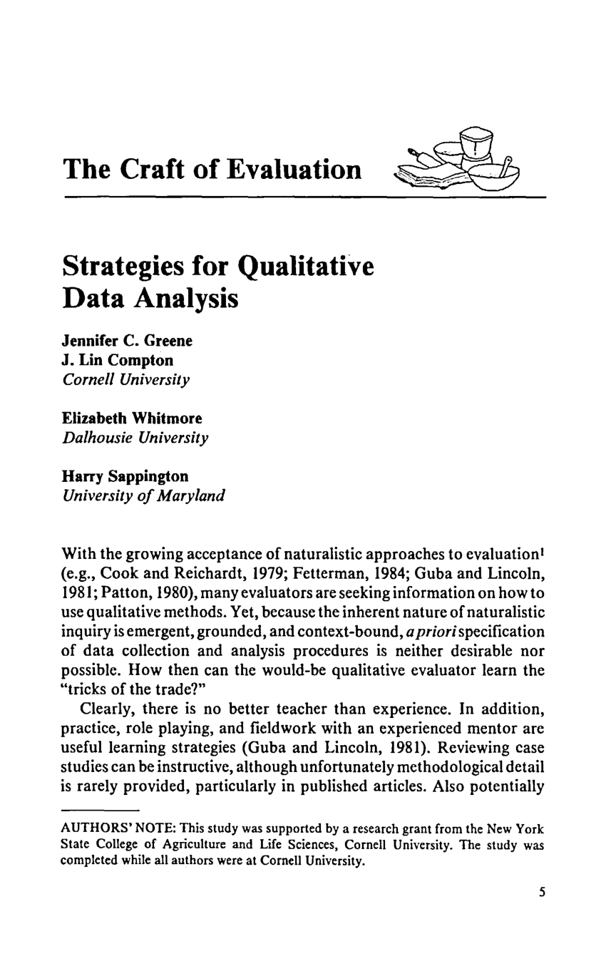 qualitative data analysis example in research paper