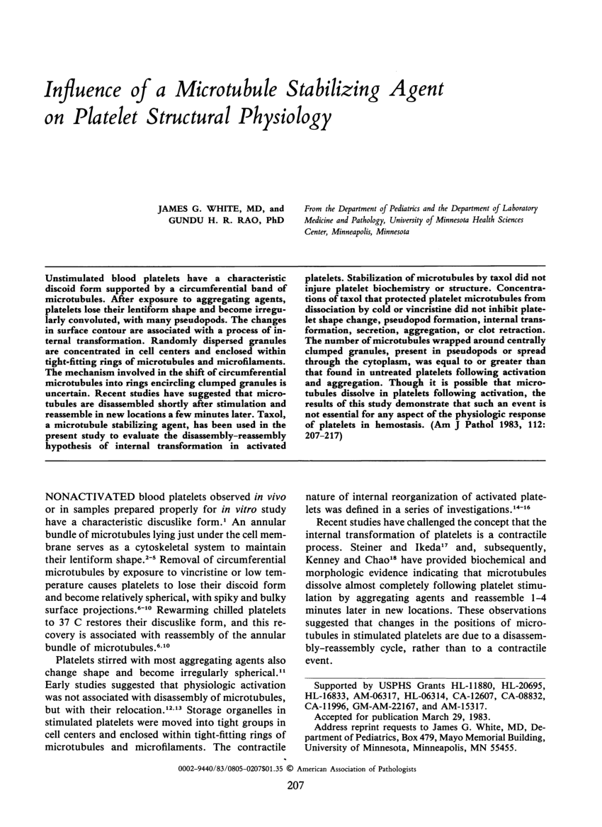 pdf-taxol-amjpathol00191-0075