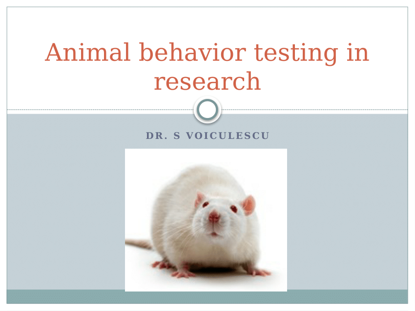 PDF) Animal behavior testing in research