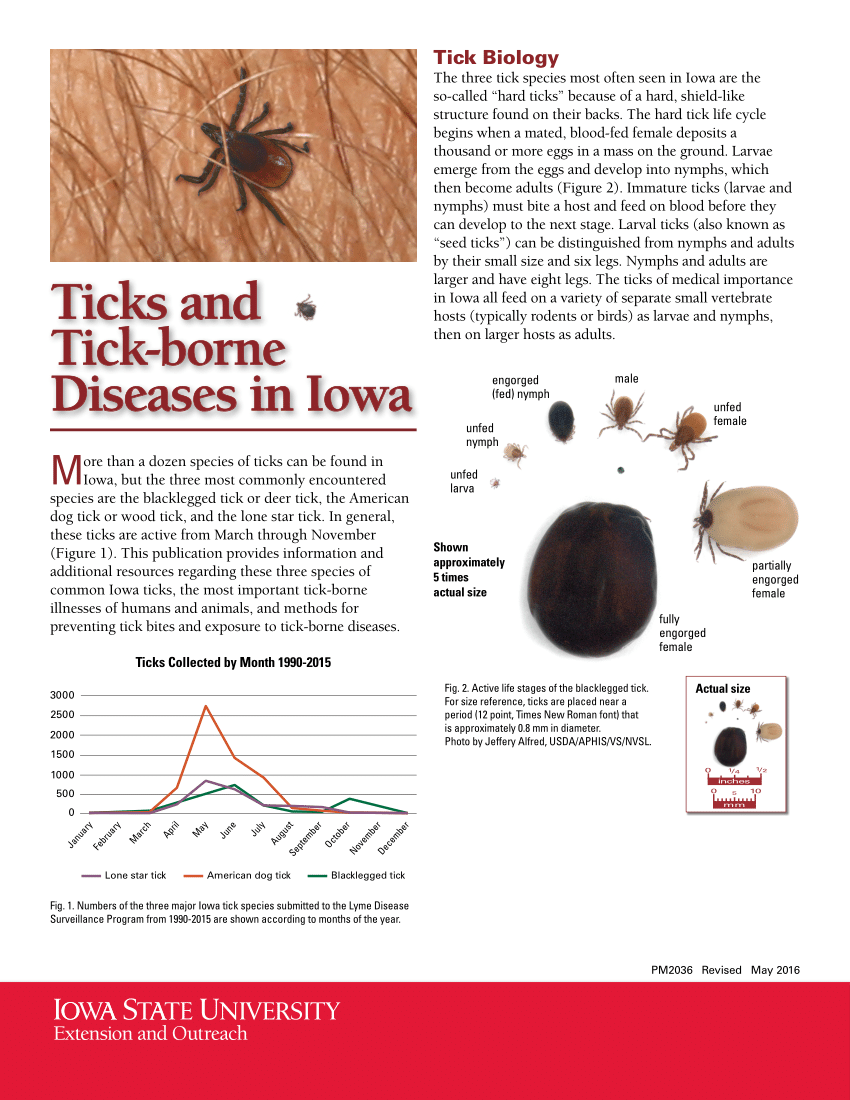 (PDF) Ticks and tickborne diseases of Iowa
