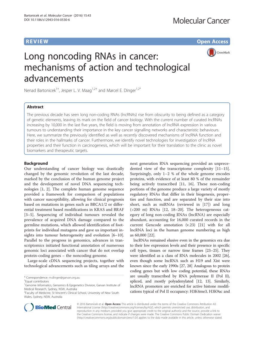Verrassend PDF) Long noncoding RNAs in cancer: Mechanisms of action and HV-81
