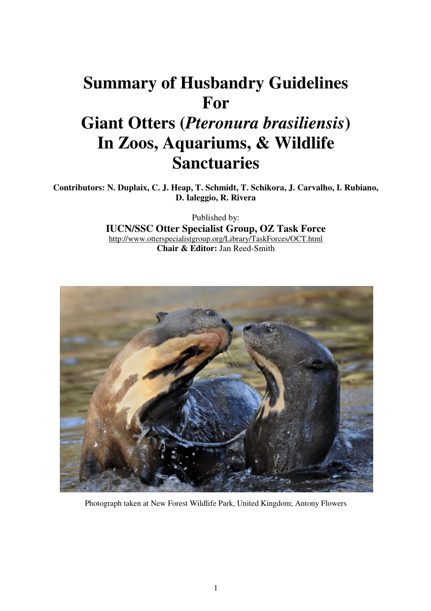 PDF) Summary of Husbandry Guidelines for Giant Otters (Pteronura  brasiliensis) in Zoos, Aquariums, & Wildlife Sanctuaries