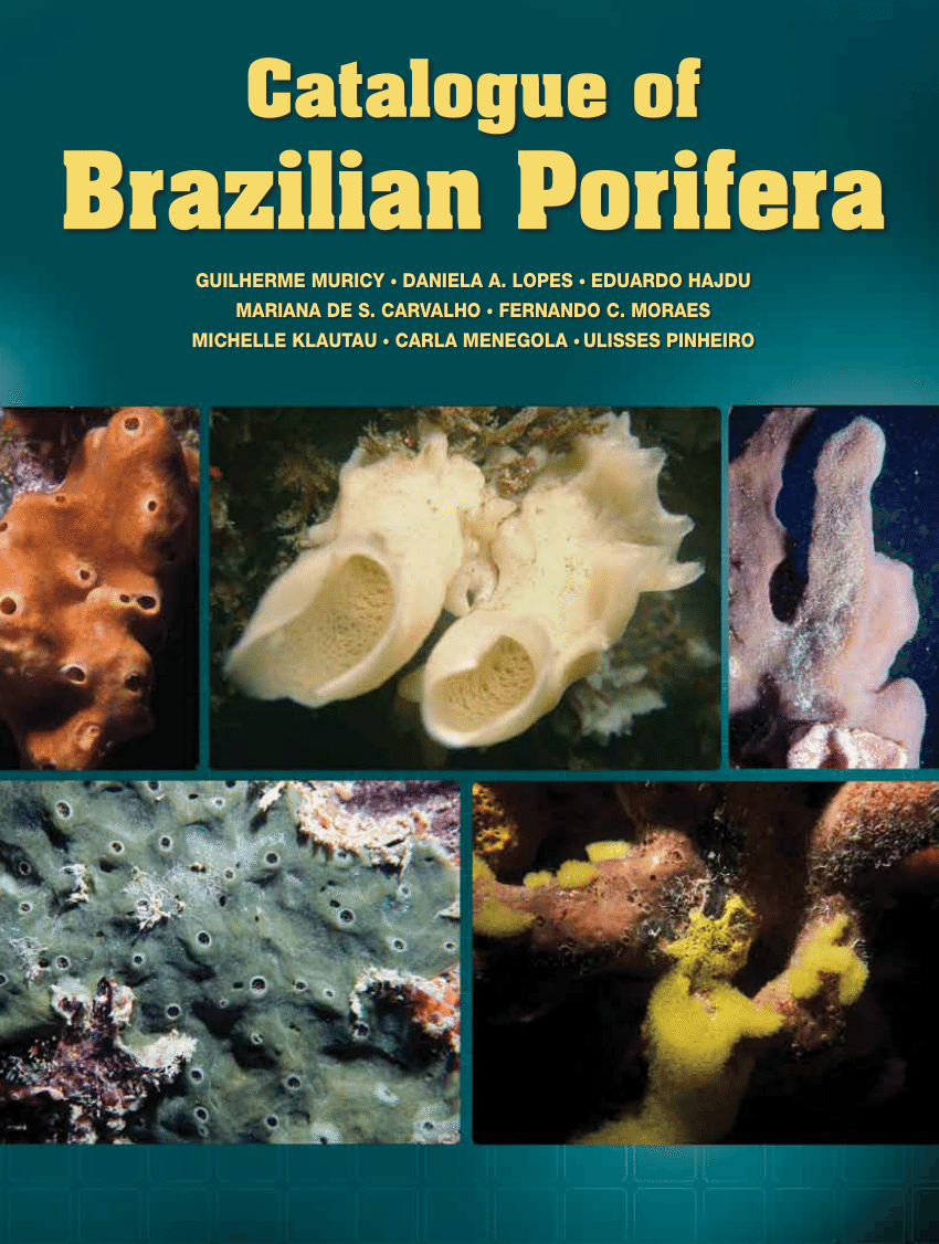 PDF Catalogue Of Brazilian Porifera