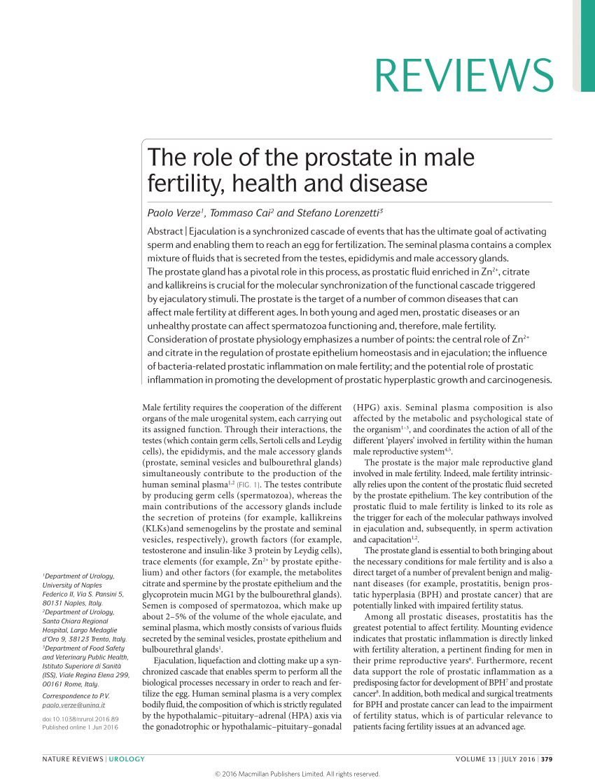 prostatitis and male infertility