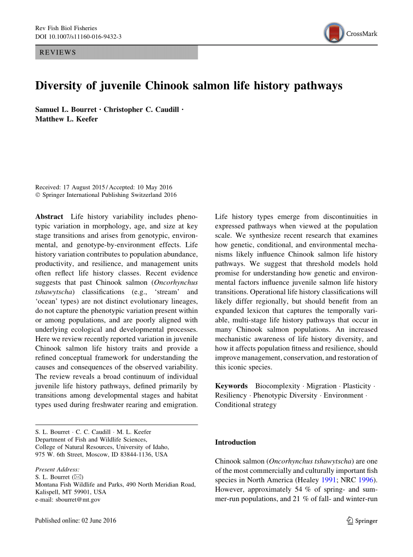 PDF) Diversity of juvenile Chinook salmon life history pathways