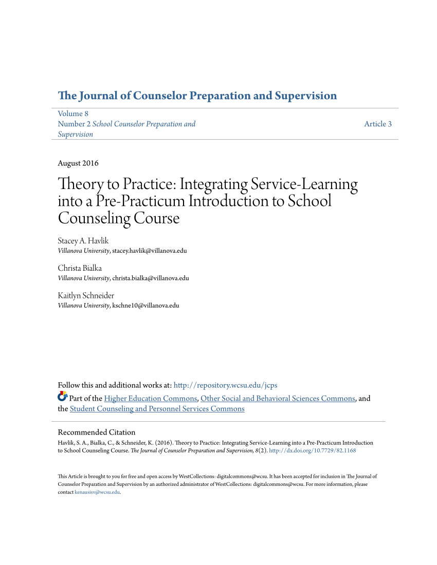 Counseling professional identity paper