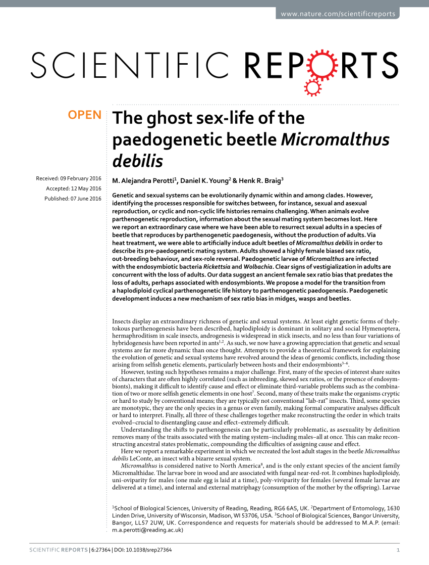 PDF) The ghost sex-life of the paedogenetic beetle Micromalthus debilis