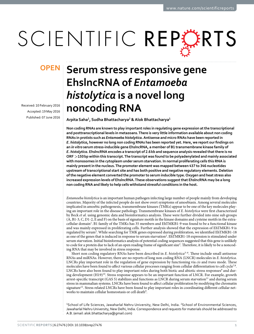 Pdf Serum Stress Responsive Gene Ehslncrna Of Entamoeba Histolytica