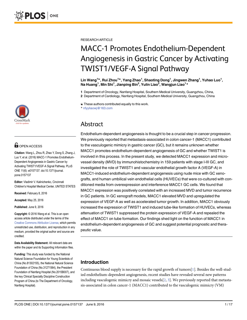 Pdf Macc 1 Promotes Endothelium Dependent Angiogenesis In Gastric Cancer By Activating Twist1 Vegf A Signal Pathway