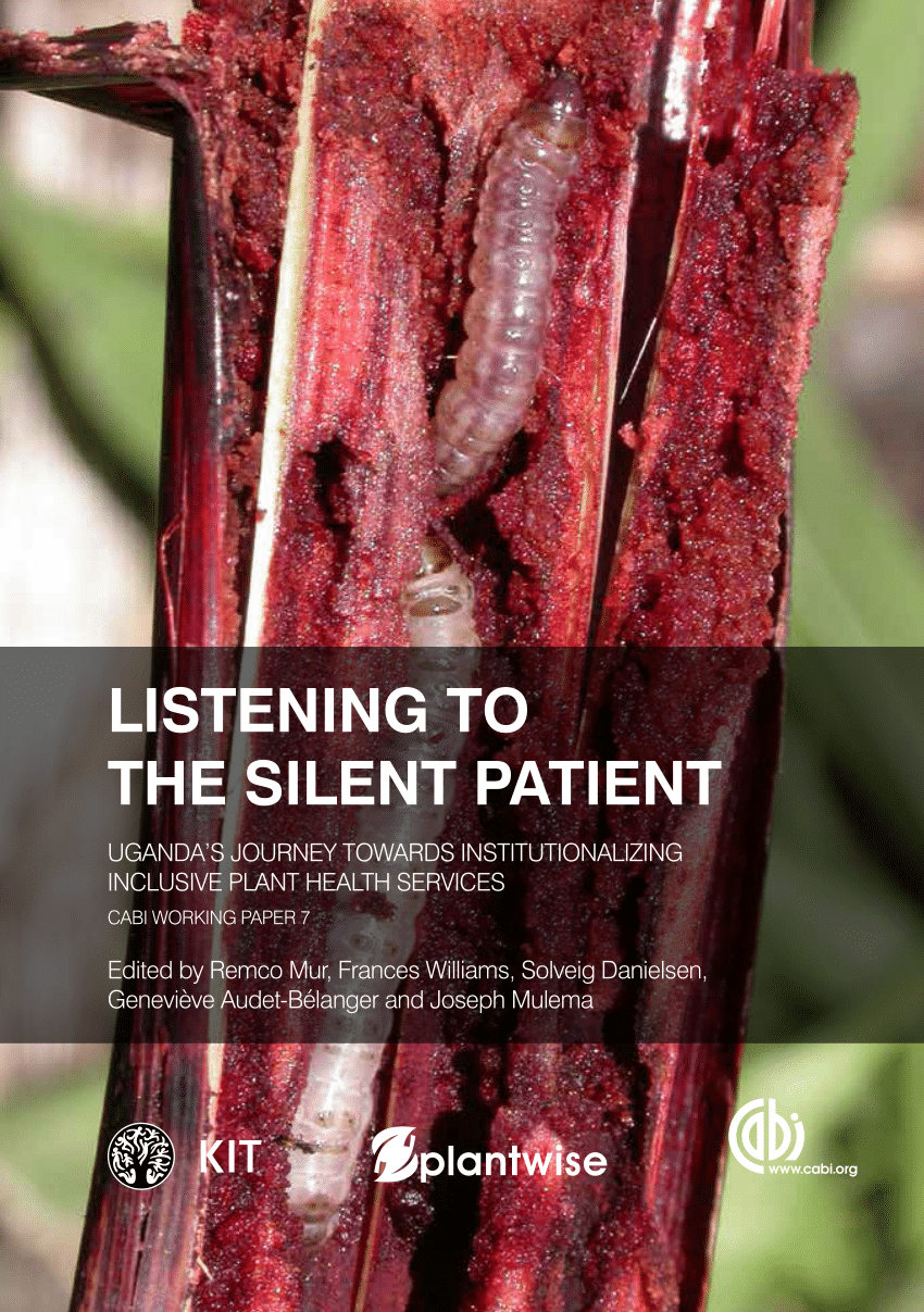 the silent patient pdf