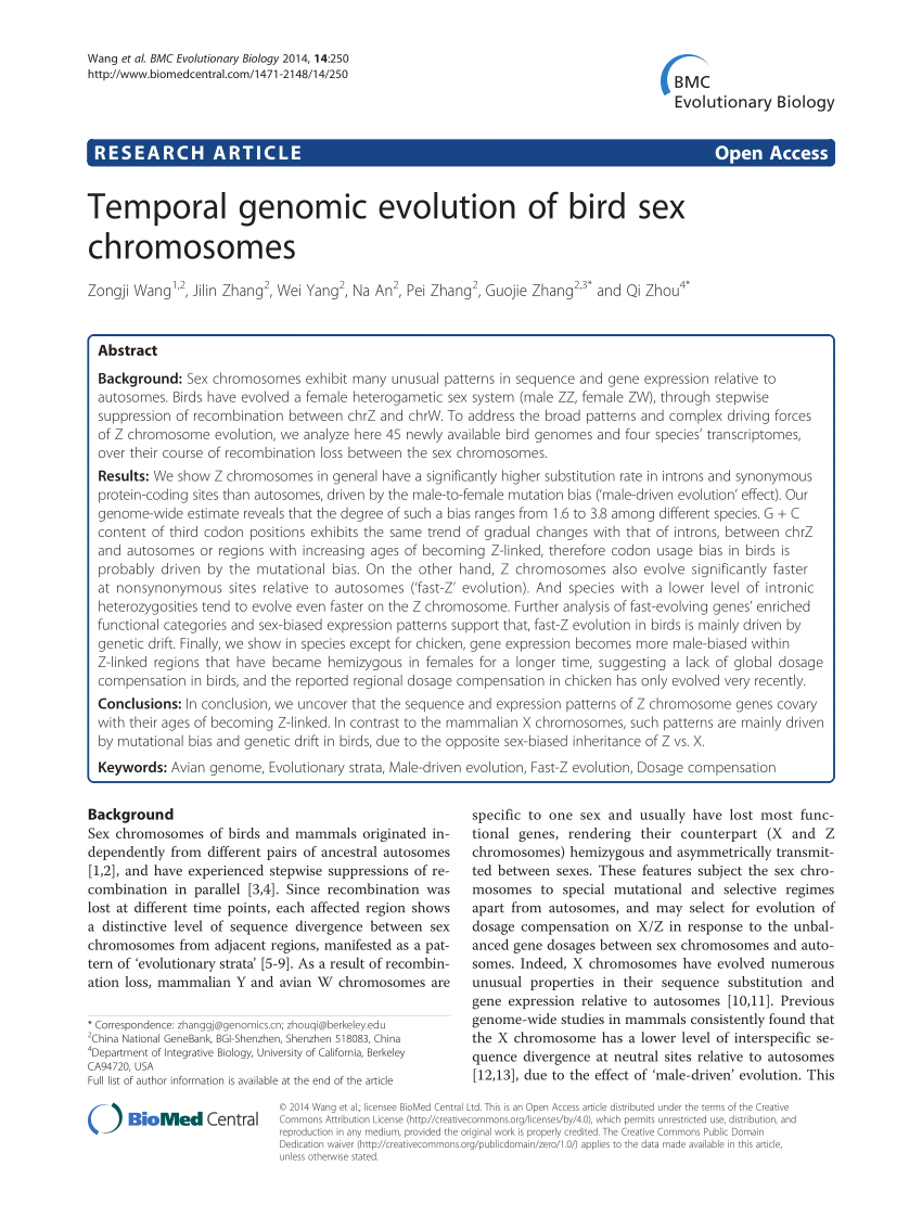 Pdf Temporal Genomic Evolution Of Bird Sex Chromosomes 6088