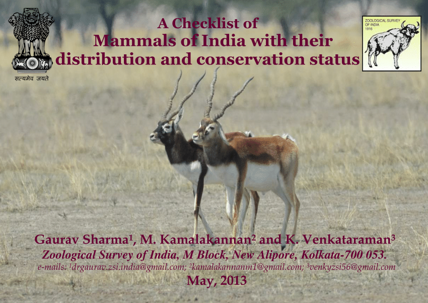 (PDF) A Checklist of Mammals of India with their distribution and