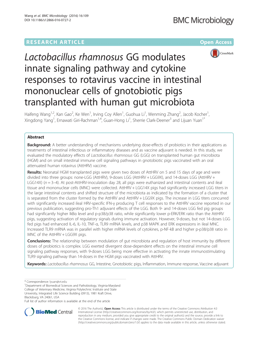 PDF) Lactobacillus rhamnosus GG modulates innate signaling pathway 