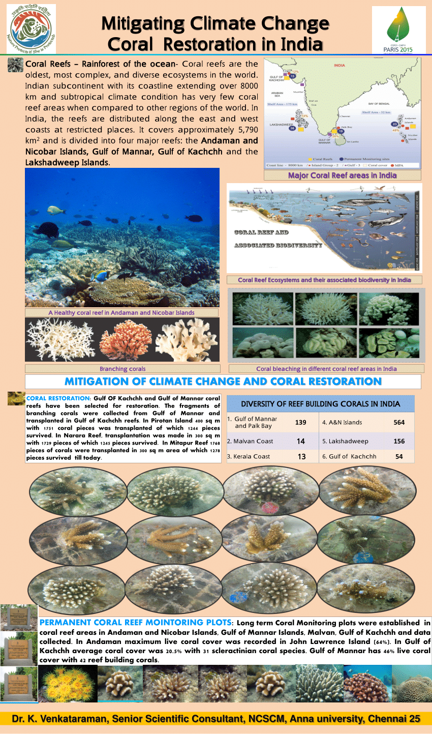 (PDF) Mitigating Climate Change Coral Restoration in India DIVERSITY OF ...