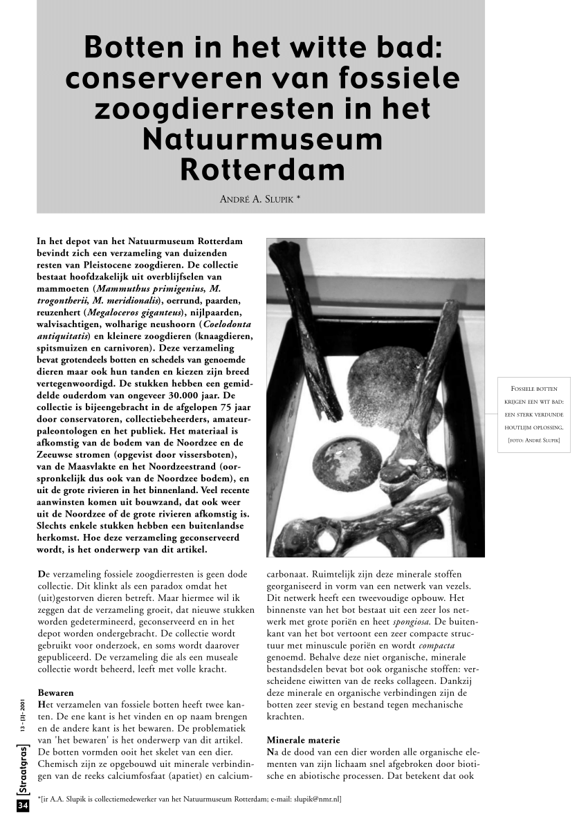 Franje zacht begin PDF) Botten in het witte bad: conserveren van fossiele zoogdierresten in  het Natuurmuseum Rotterdam