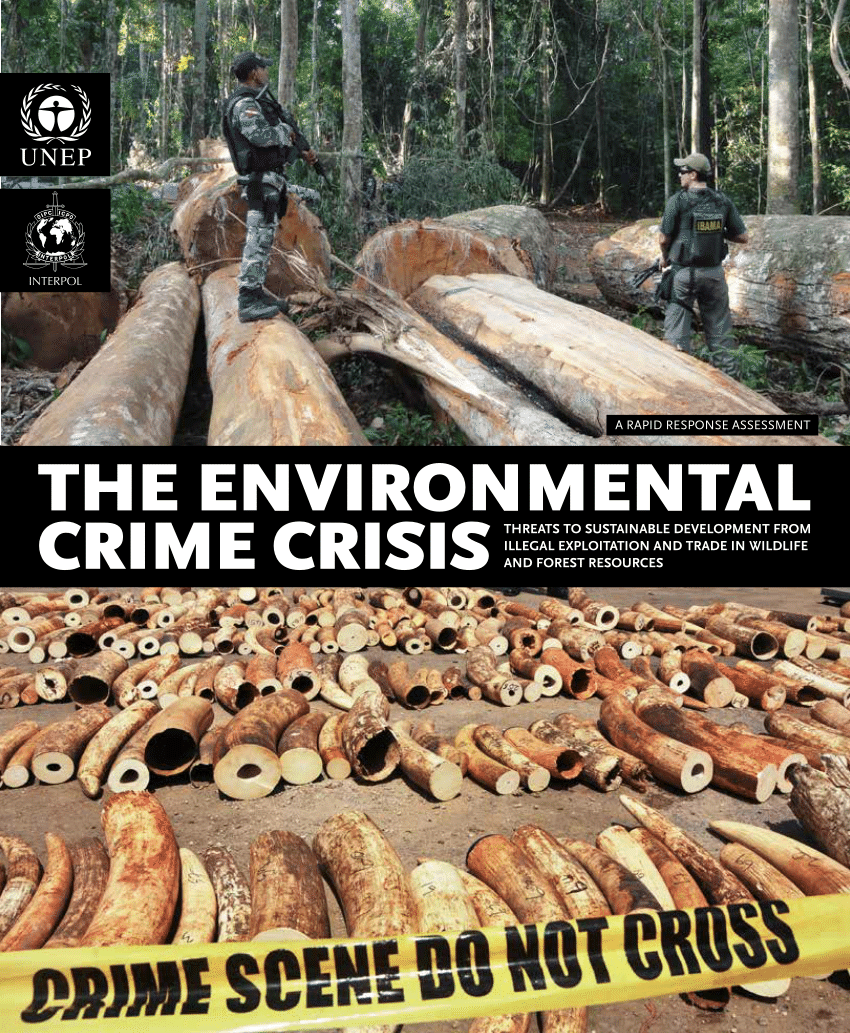 environmental crime dissertation