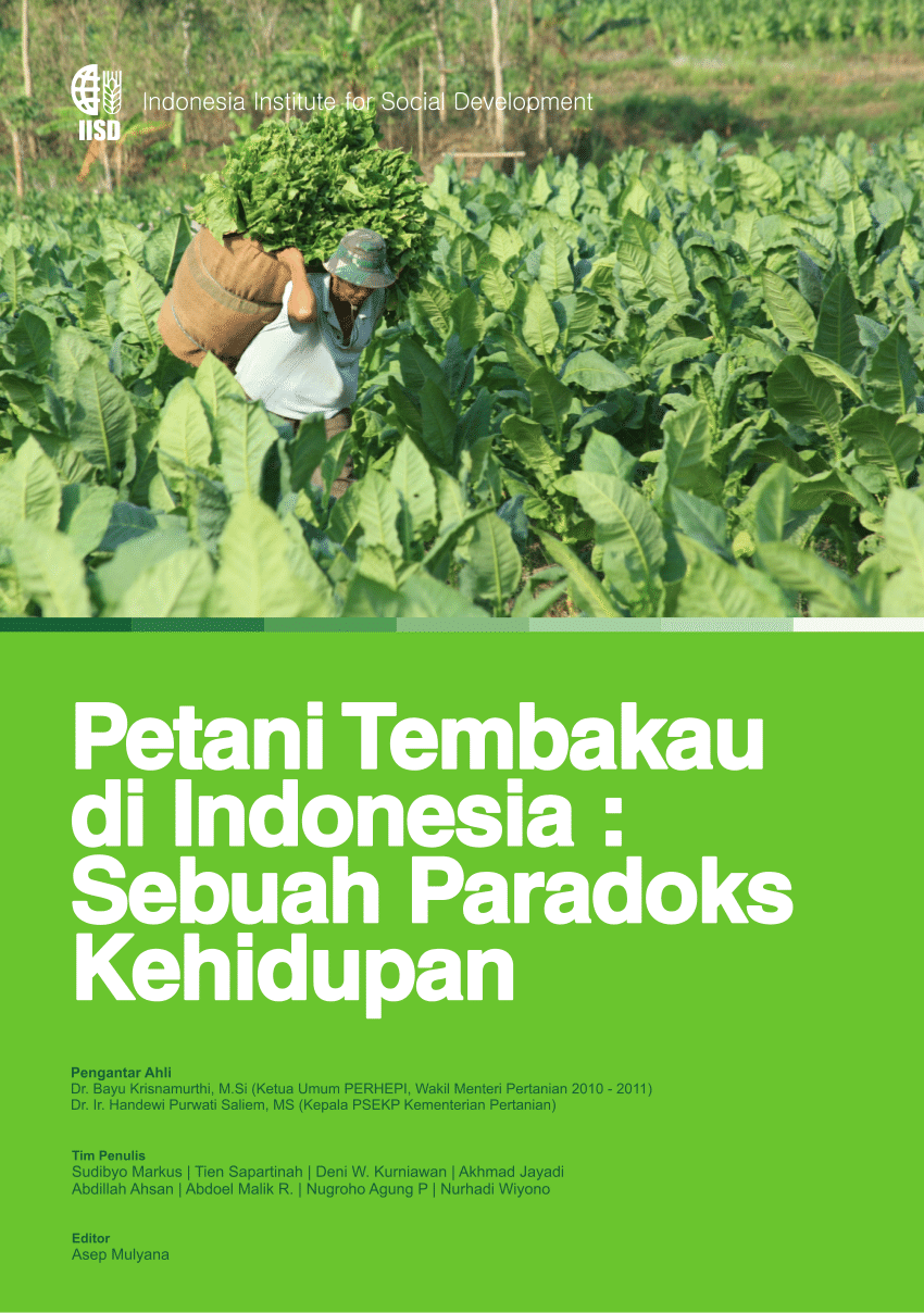 PDF Petani Tembakau Di Indonesia Sebuah Paradoks Kehidupan