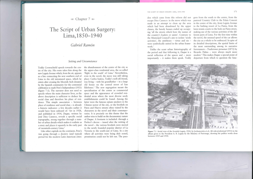 PDF The script of urban surgery Lima 1850 1940