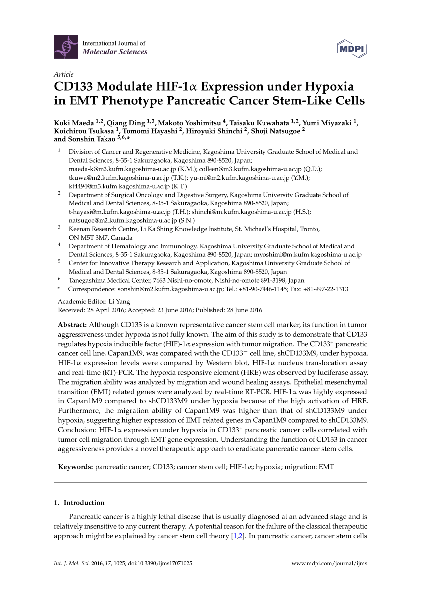 Pdf Cd133 Modulate Hif 1a Expression Under Hypoxia In Emt Phenotype Pancreatic Cancer Stem Like Cells