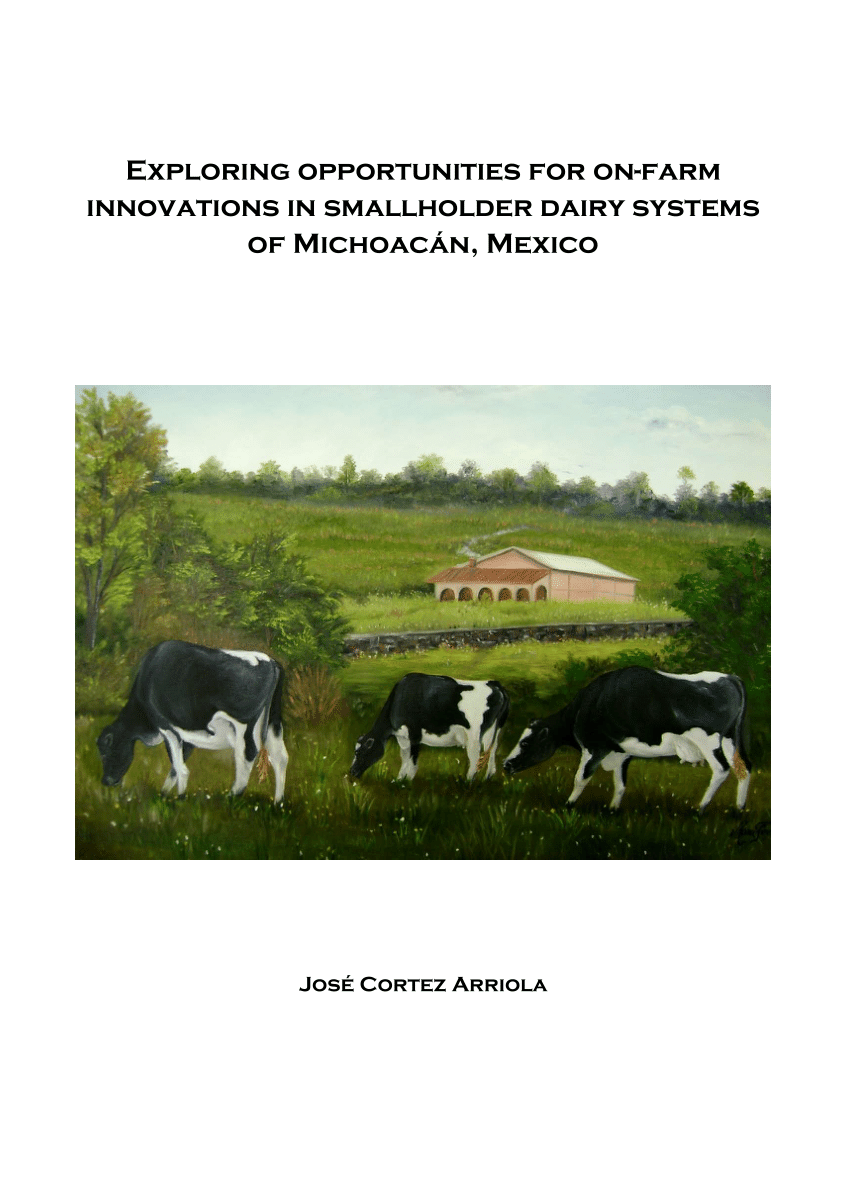 https://i1.rgstatic.net/publication/304639741_Exploring_opportunities_for_on-farm_innovations_in_smallholder_dairy_systems_of_Michoacan_Mexico/links/629b58e255273755ebd1ce8c/largepreview.png