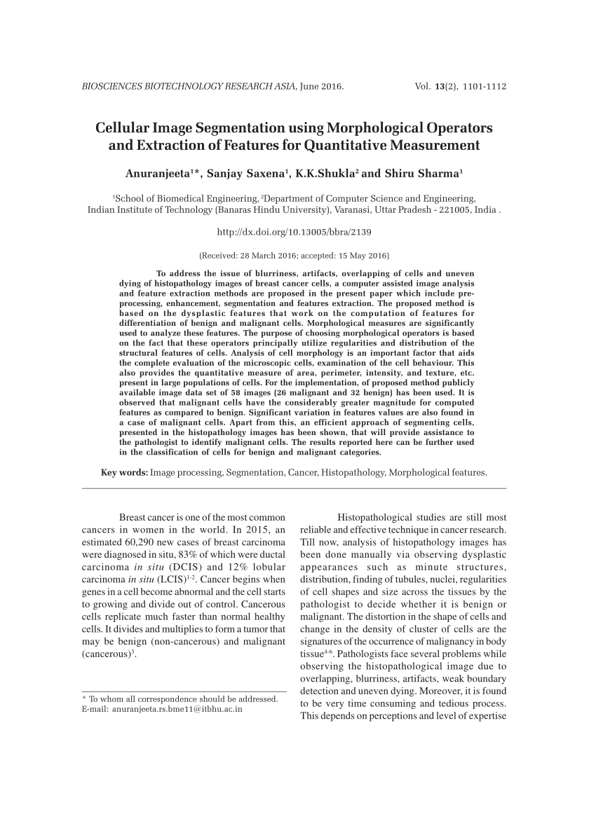 Pdf Cellular Image Segmentation Using Morphological Operators And Extraction Of Features For Quantitative Measurement